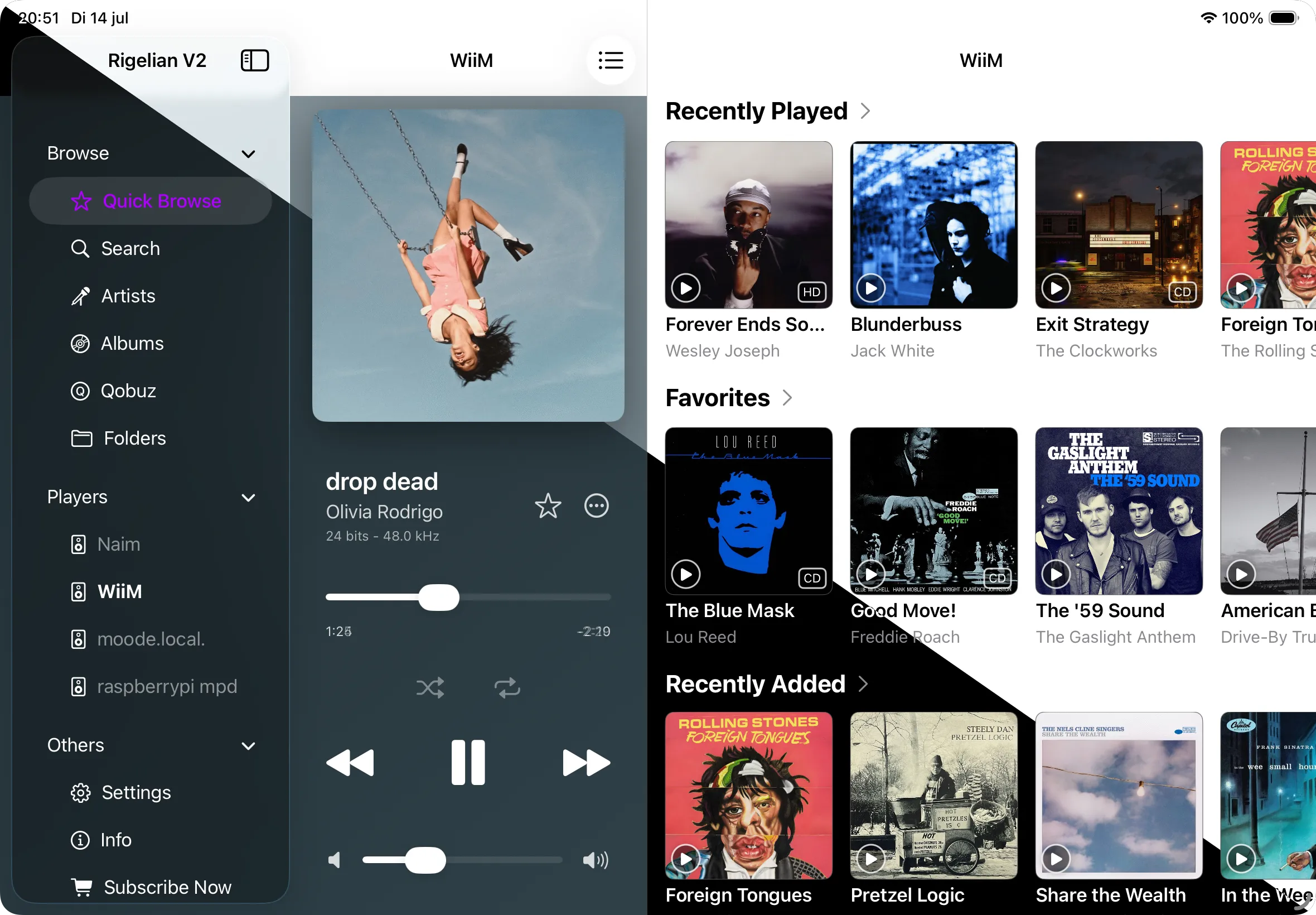 Rigelian light / dark mode
